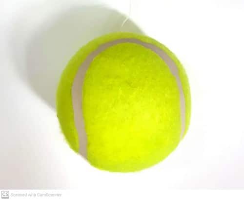 כדור טניס משריק לחיות מחמד של MyPet