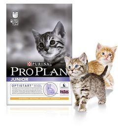 PROPLAN עוף ואורז לחתולים צעירים – 3 קילוגרם, תזונה מיוחדת לגידול חתולים